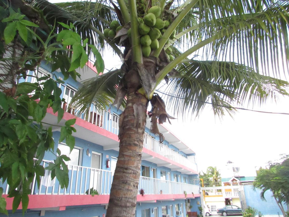 Blue Coconut Cancun Hotel Eksteriør billede